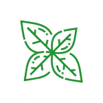سبزیجات