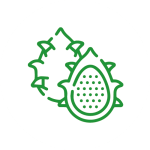 میوه استوایی