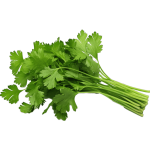 سبزی خوردن